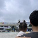 더파트컨텐츠랩 | 대전 국립 중앙과학관 완벽 가이드 ㅣ 20개월 아기도 즐기는 전시관 & 대전 맛집 3곳