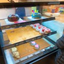 하이도나 이미지