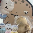 갔다가 다른녀석에 빠져버린 나가노마켓 나가노수족관 농담곰 치이카와 팝업 후기 &amp; 토리키조쿠 홍대본점