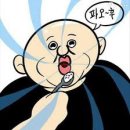 돼지소한마리