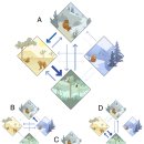 (주)동인제약 | 영장류의 얼음 속 출발: 열대 정글이 아닌 냉온대에서 시작된 진화 스토리