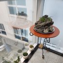 강정누림 이미지