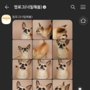 너일해봄 네이버블로그