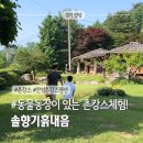 장군농장 | 안성촌캉스 추천! 동물 보고 농촌체험까지 가능한 솔향기흙내음 후기