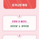 태강 한의원 이미지