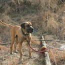 기권농장 이미지