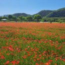 태화강국가정원 이미지