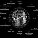 휴24 이미지