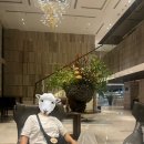 오리엔트호텔 | 다낭 뉴오리엔트 호텔 2박 후기 (조식, 수영장, 단점) / 다낭 0.5박 가성비 숙소 추천