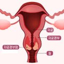 경부