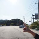 서파장어랜드 이미지