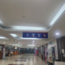 종합운동장에어로빅 | 출산 후 운동 뭐하지? 물속 에어로빅 처음 해본 사람의 탄천종합운동장 내돈내산 아쿠아로빅 솔직 후기