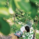 양원숲속도서관 이미지