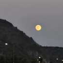 선창해상낚시터 이미지