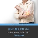다조은