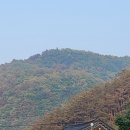 도호길 이미지