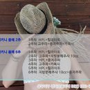 정다운의원 이미지