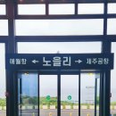 애월의원 | 여유로운 브런치, 3층 하늘정원까지 🌿 가족·연인·친구와 힐링 가능한 제주 애월 최고의 카페 체험 후기 ✨