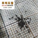 하수구막힘언수도녹임수전싱크대막힘배수구 이미지