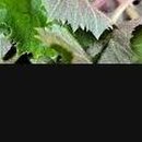 삼동농장 이미지