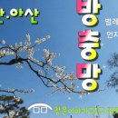 천안미세방충망 이미지
