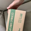 올웨이즈 올팜 토마토 드디어 다 키운 후기🍅