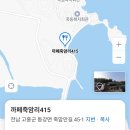 카페415 | 고흥 카페 죽암리 415 내돈내산 방문후기