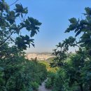 2021-주165 이미지