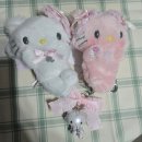 페트코코 | 둥근해 미친거 또 떴네