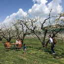 과일나라테마공원1 이미지