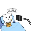 (주)장보고유통 | (26.02.09~02.15) 3키로 찐 먹부림 일상.zip