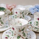 도그 블라썸 이미지