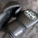 드래곤복싱클럽 백마점 이미지