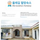 제주 올레길 완주 준비하기