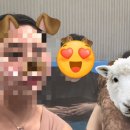 무안 오베르망 애견동반 펜션 후기🐶 힐링 그 잡채~💫💫