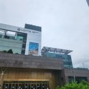 왕산로1L-1 | [청량리] 청량리 롯데백화점 맛집 신홍러우 점심 식사 후기👲🍜