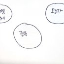 야채이야기