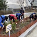 향동종합사회복지관 이미지