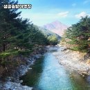 샘골 | 강원도 홍천 힐링 캠핑지, 샘골솔밭야영장 솔직 후기🌲🏕️