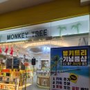 몽키샵 | [6살 아이와 세부 여행] 세부여행 기념품샵 몽키트리 방문후기