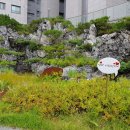 풍성한공인중개사사무소 이미지