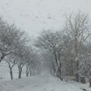 청림천문대 이미지