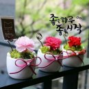 실버댄스(실용) 이미지