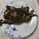 무남정