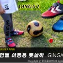 징가(ginga) 이미지