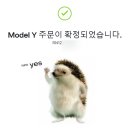 디아이스토어 | 테슬라 모델Y 주니퍼 인도과정 출고기간 2달 후기