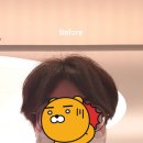 유림팔레트