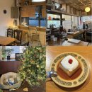 예쁜강아지 | 카페 '오비코히'(구 하라브레도) 내돈내산 후기 | 예쁜 강아지와 크리스마스 트리가 있는 일본 감성...