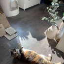 방배로26길 16 이미지