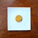 지에스25 용현해피점 | 오리온 <다이제 샌드 초코 스프레드> 솔직 후기, 정보